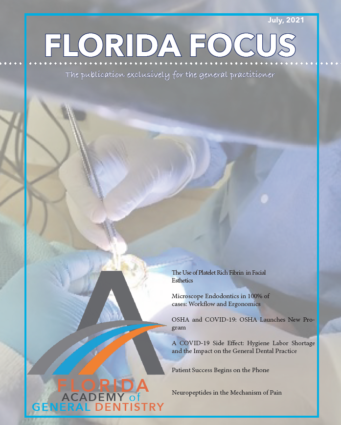 Florida Focus- Summer, 2021